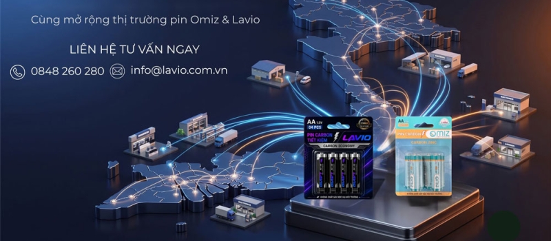 img-lavio